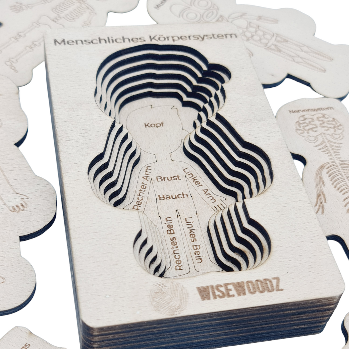 Wisewoodz Körper Whizz Junge